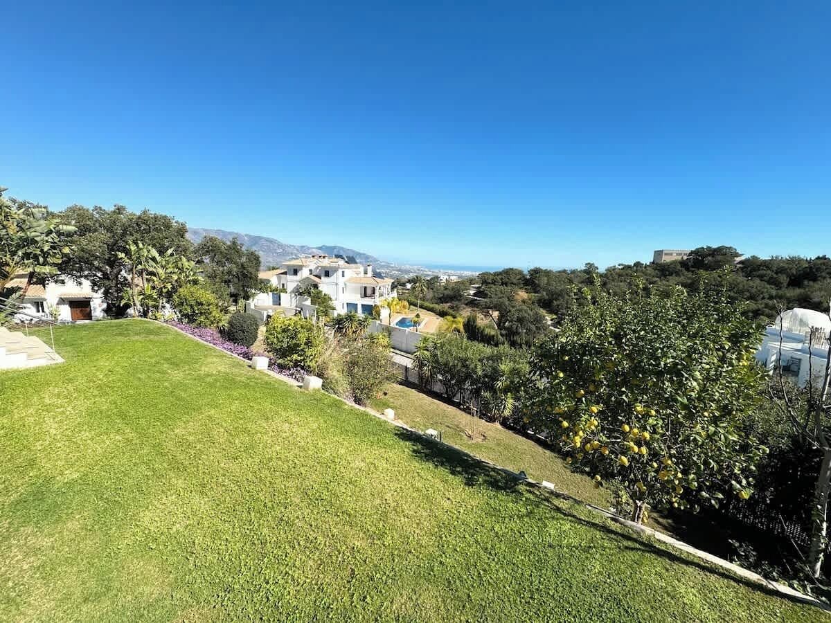 A residential area with houses, a grassy lawn, and trees.