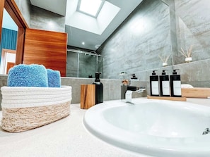 Chuveiro, secador de cabelo, toalhas de banho, shampoo