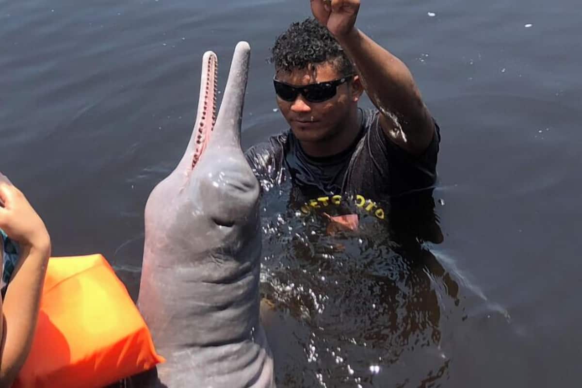 A person holding a fish above a large fish in the water.