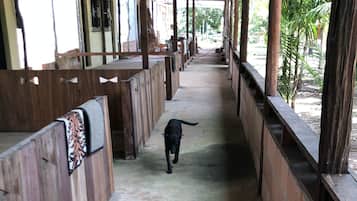 Quarto casal ou duplo clássico, vários quartos, terraço, vista para a montanha | Individualmente decorados, individualmente mobiliados, Wi-Fi de cortesia