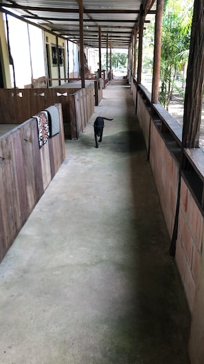 Chambre Classique Double ou avec lits jumeaux, plusieurs chambres, terrasse, vue montagne | Décoration personnalisée, ameublement personnalisé, Wi-Fi gratuit