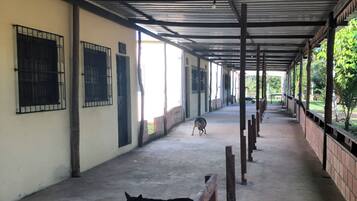 Individually decorated, individually furnished, free WiFi, bed sheets