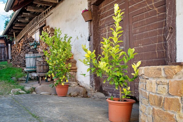 Unclassified image, 1 of 40, button