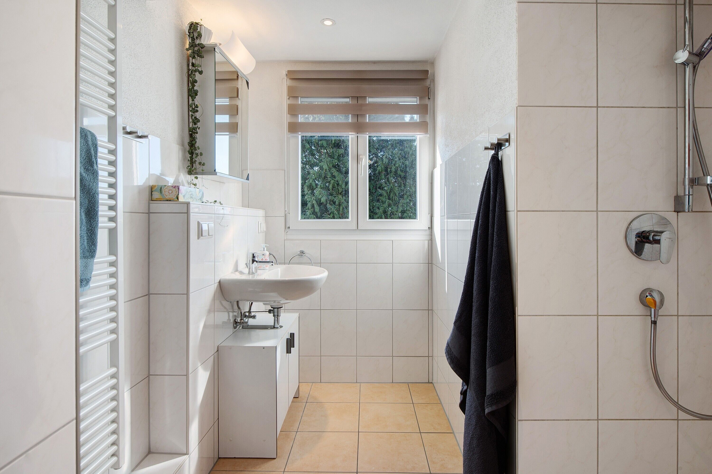 Dusche, Haartrockner, Handtücher