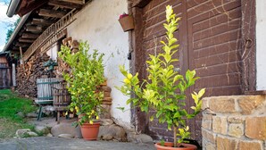 Two potted plants outside a building with a stone wall and wooden door. - Alte Zainschmiede Holiday Apartment – Pure Peace and Relaxation (Müllheim im Markgräflerland)