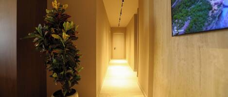 A hallway with a potted plant, a television screen, and a door at the end.