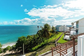 A coastal view with a clear sky, a beach, and a residential area with houses. - 2BR condo - PRIVATE BEACH / Ocean view - TV, Wifi, Gym, Pool (Samaná Province)