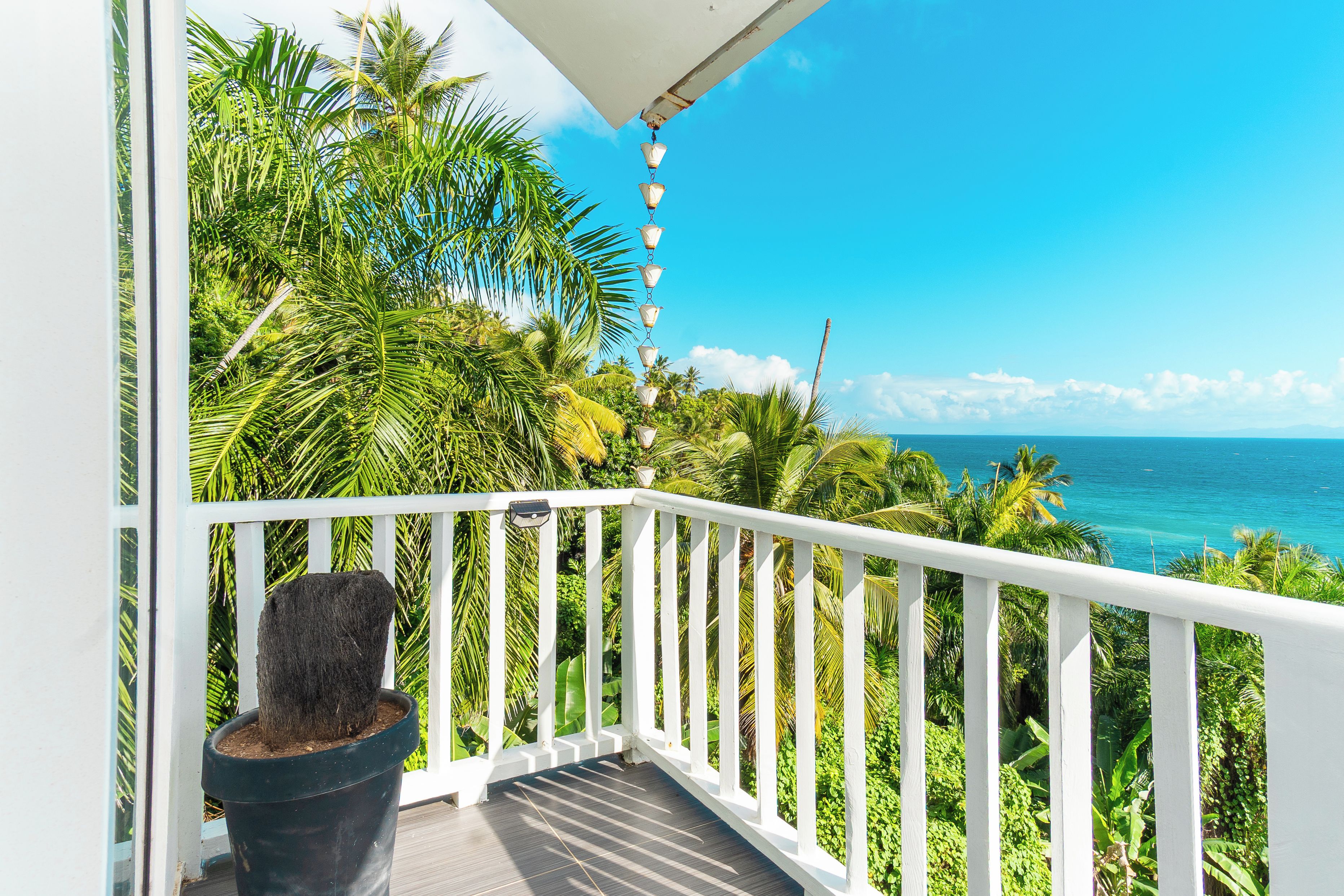Un balcon offrant une vue sur l’océan, entouré d’une végétation luxuriante.