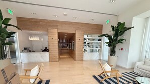 A hotel lobby with a reception desk, a seating area with wicker chairs, a large potted plant, and a striped rug.