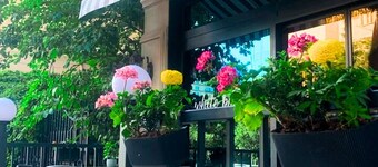 White Breeze Hotel