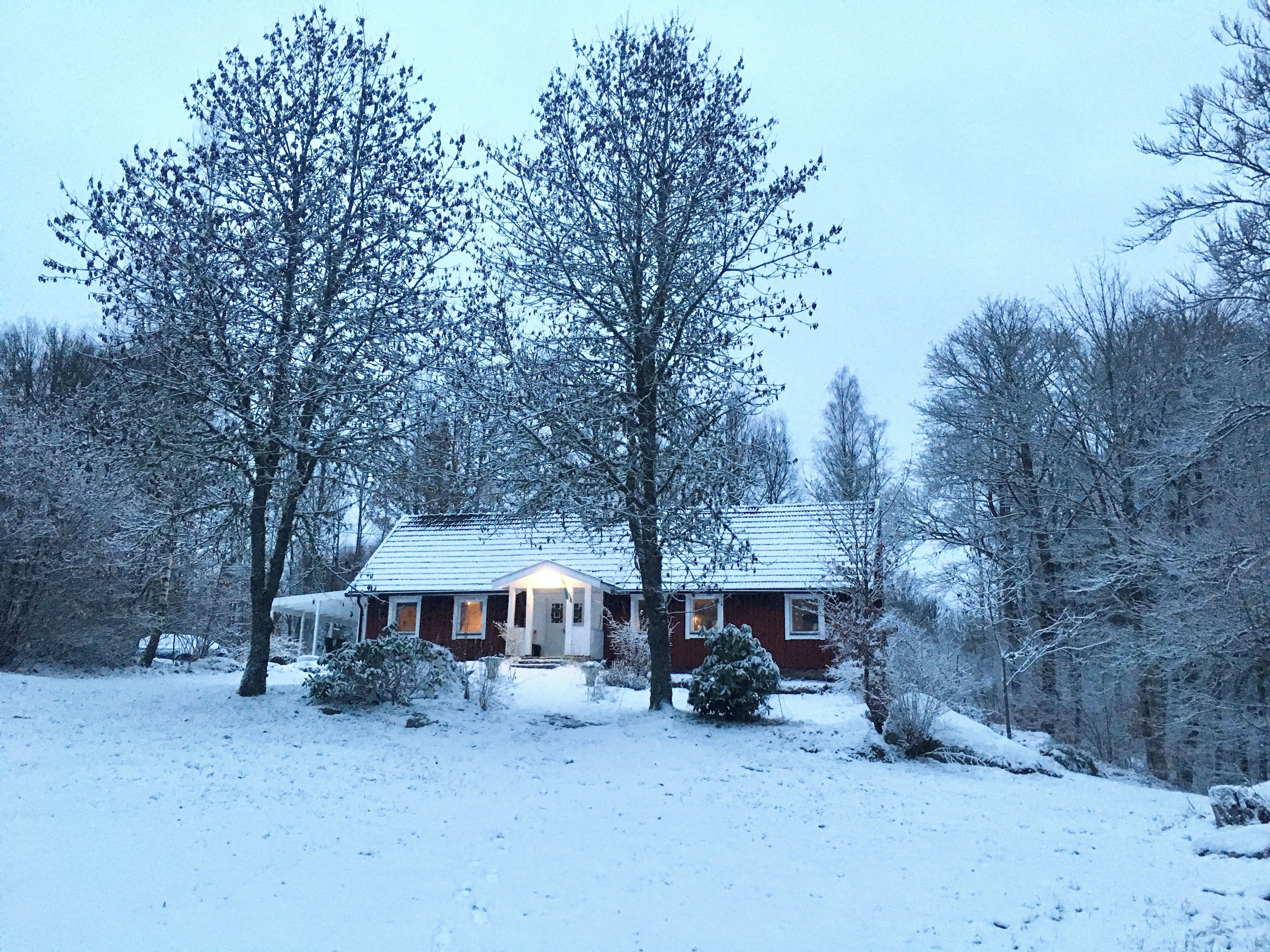 A snow-covered house with a red exterior and a white roof, surrounded by trees and a snow-covered ground.