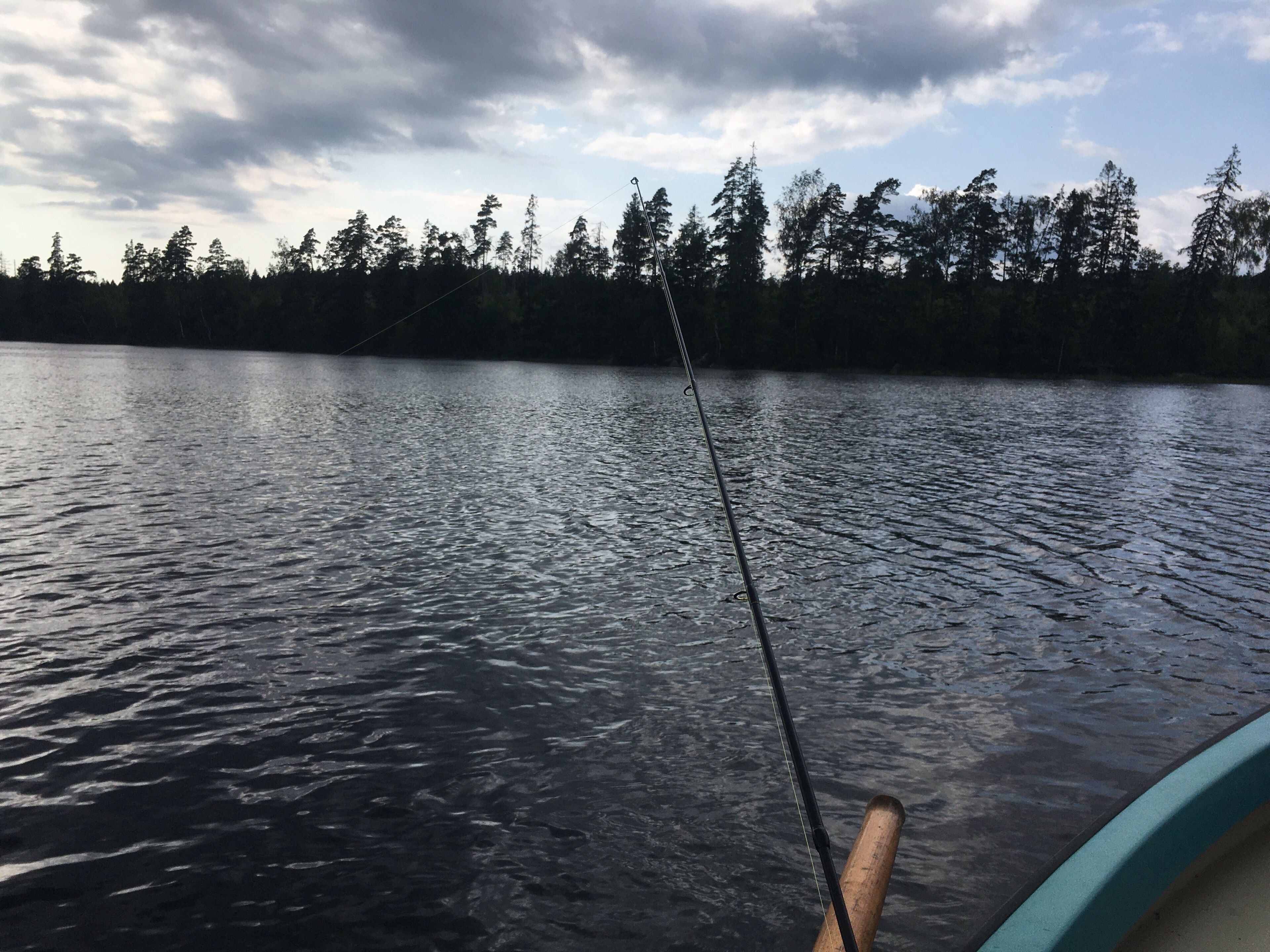 A calm lake with a fishing rod in the foreground and a forested shoreline in the background.