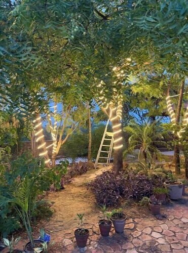 Soul Tree Retreat — The Ultimate 1-Acre Farmhouse in Gurgaon