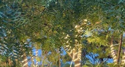 Soul Tree Retreat — The Ultimate 1-Acre Farmhouse in Gurgaon