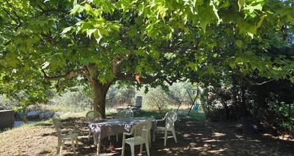 Saignon, Luberon, bed and breakfast