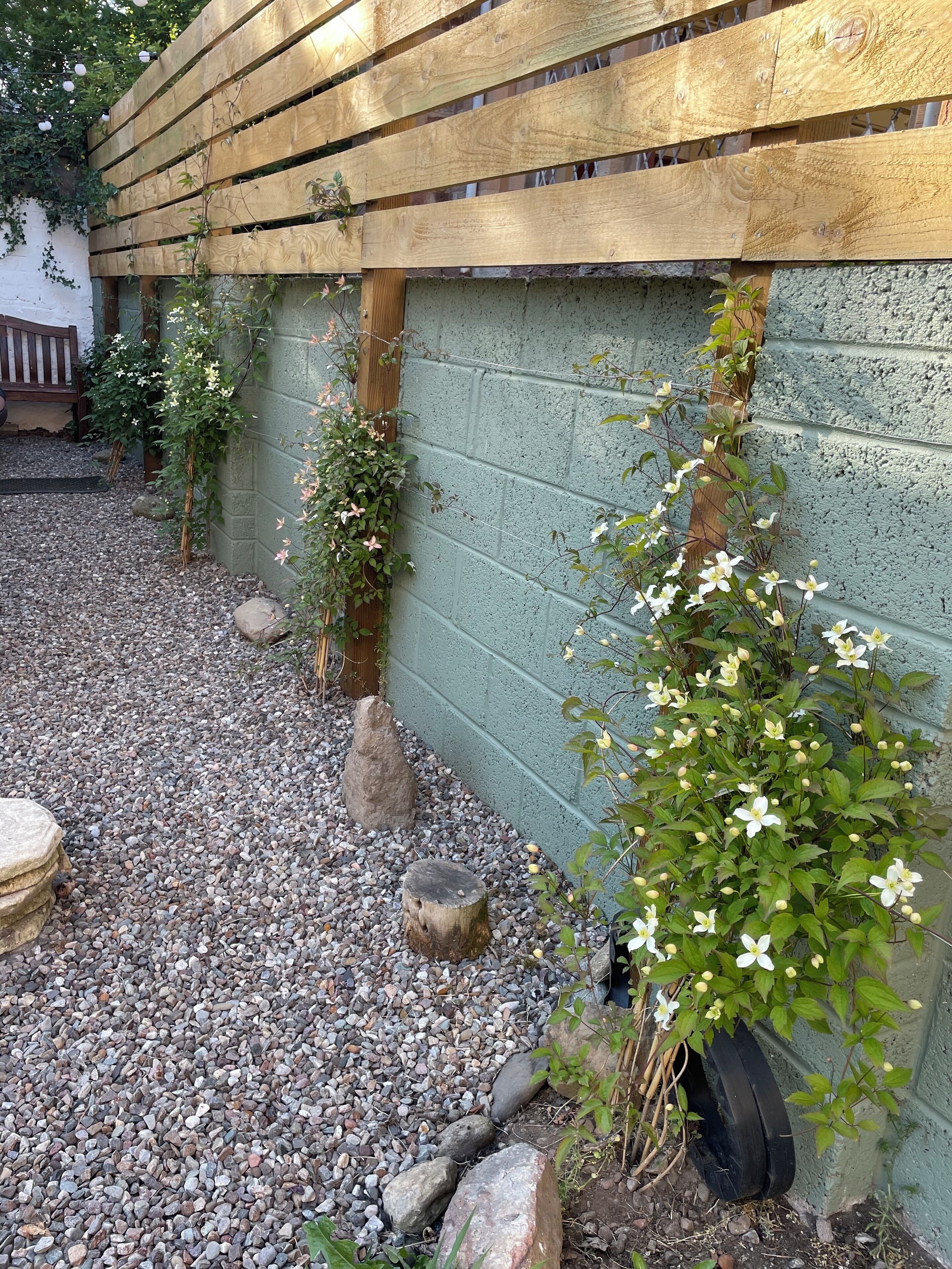 Ein Gartenbereich mit Holzzaun, grüner Wand und unterschiedlichen Pflanzen.