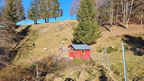 Une cabane rouge située sur une colline, avec une zone délimitée par une clôture, entourée d’arbres et d’animaux qui paissent.