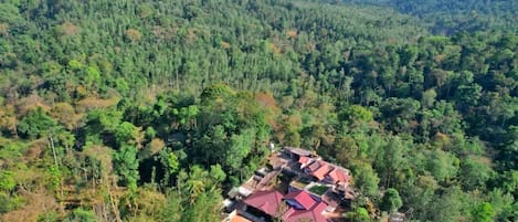 Vista aérea de um conjunto de edifícios com telhados vermelhos, cercados por uma floresta densa.