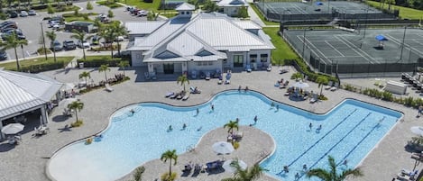 Una gran piscina con múltiples carriles, rodeada de palmeras y sillas de descanso.