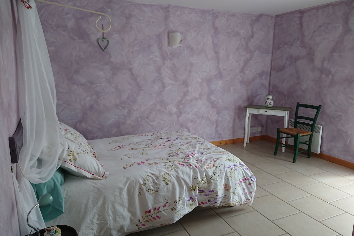 Iron/ironing board (on request), free WiFi