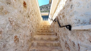 Detalle exterior