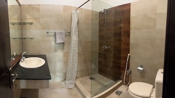 Shower, bidet, towels, soap