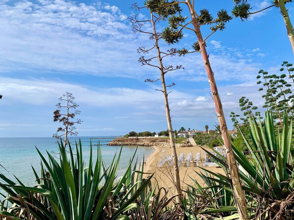 Sun-loungers, beach towels