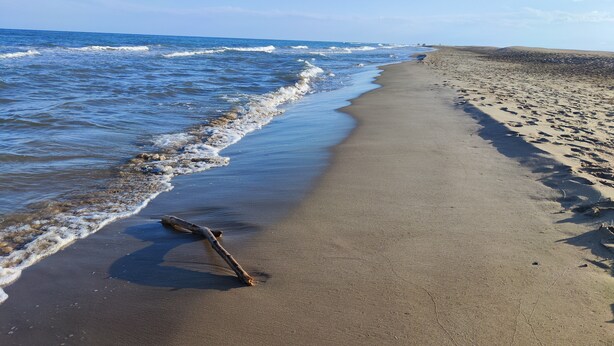 A sandy beach with waves, a driftwood piece, and footprints. - Apartment in Deltebre Casa Fotostudi37 (Deltebre)