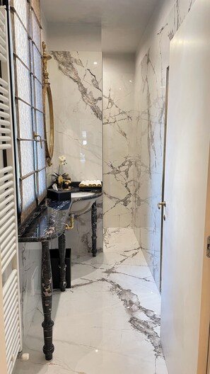 Shower, hair dryer, bidet, towels