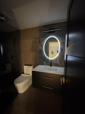 Assecador de cabells, tovalloles, sabó i xampú