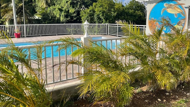 Una piscina con cerco blanco, rodeada de palmeras y un mural de una tortuga en un edificio.