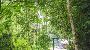 A forest path leading to a structure with a blue roof. - Private Riverfront home w/ Hot tub, central to ONP (Beaver)