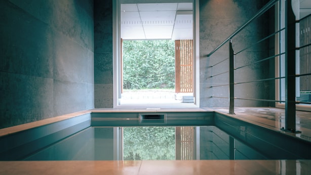A modern interior with a reflective pool, a large window with a view of greenery, and a metal railing. - L'Echappée Vosgienne (Gérardmer)