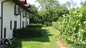 Aussenbereich