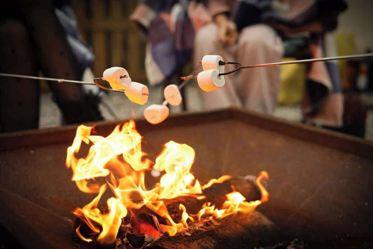 Un feu de camp autour duquel on fait griller des guimauves sur un bâton.