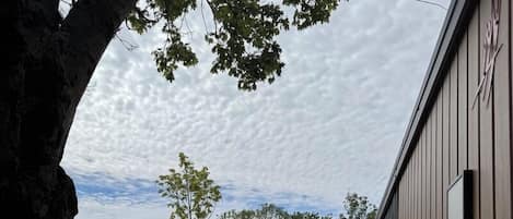 Quadruple Room, Park View | Terrace/patio