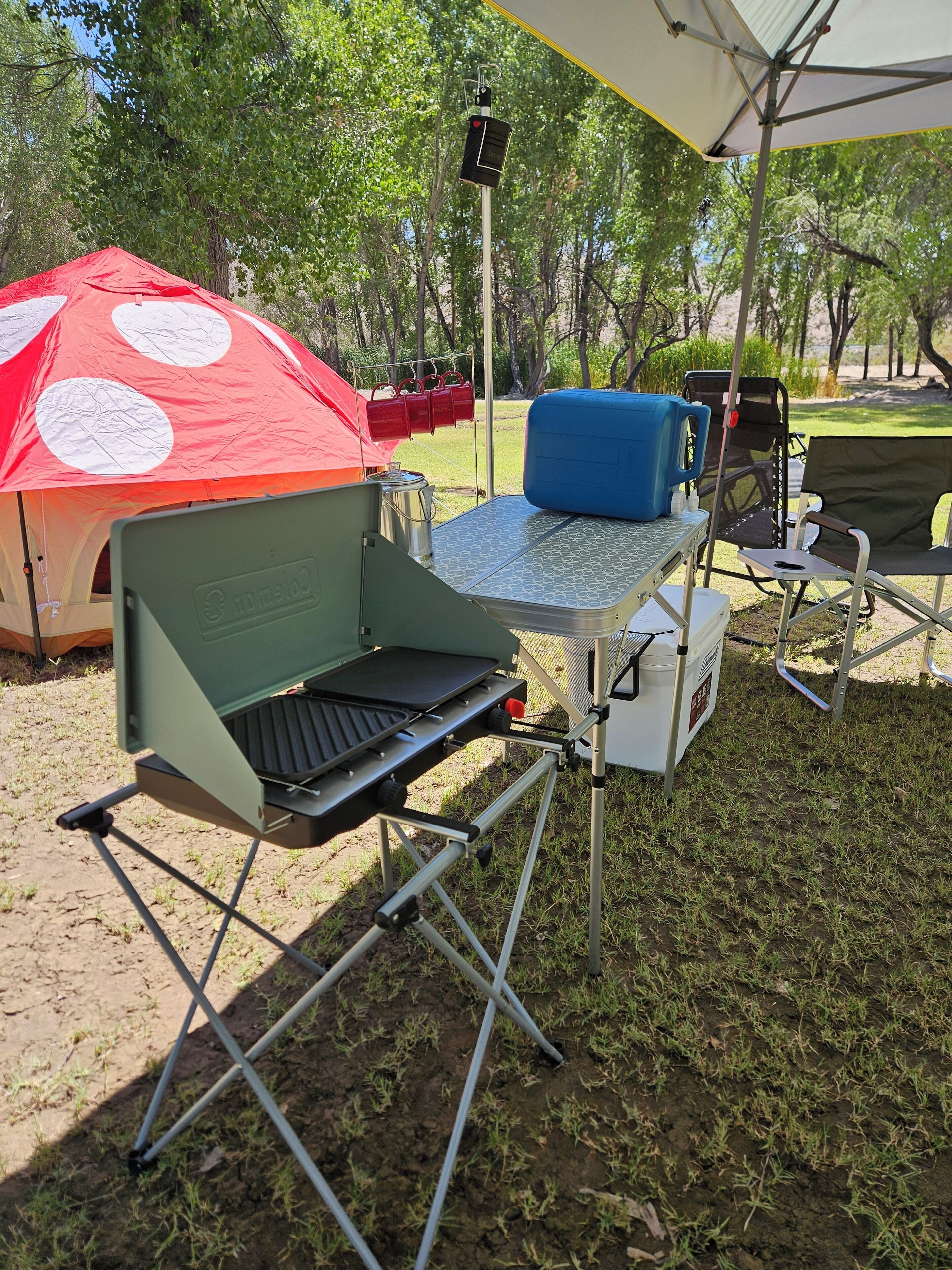 Overnattingsstedets uteområder