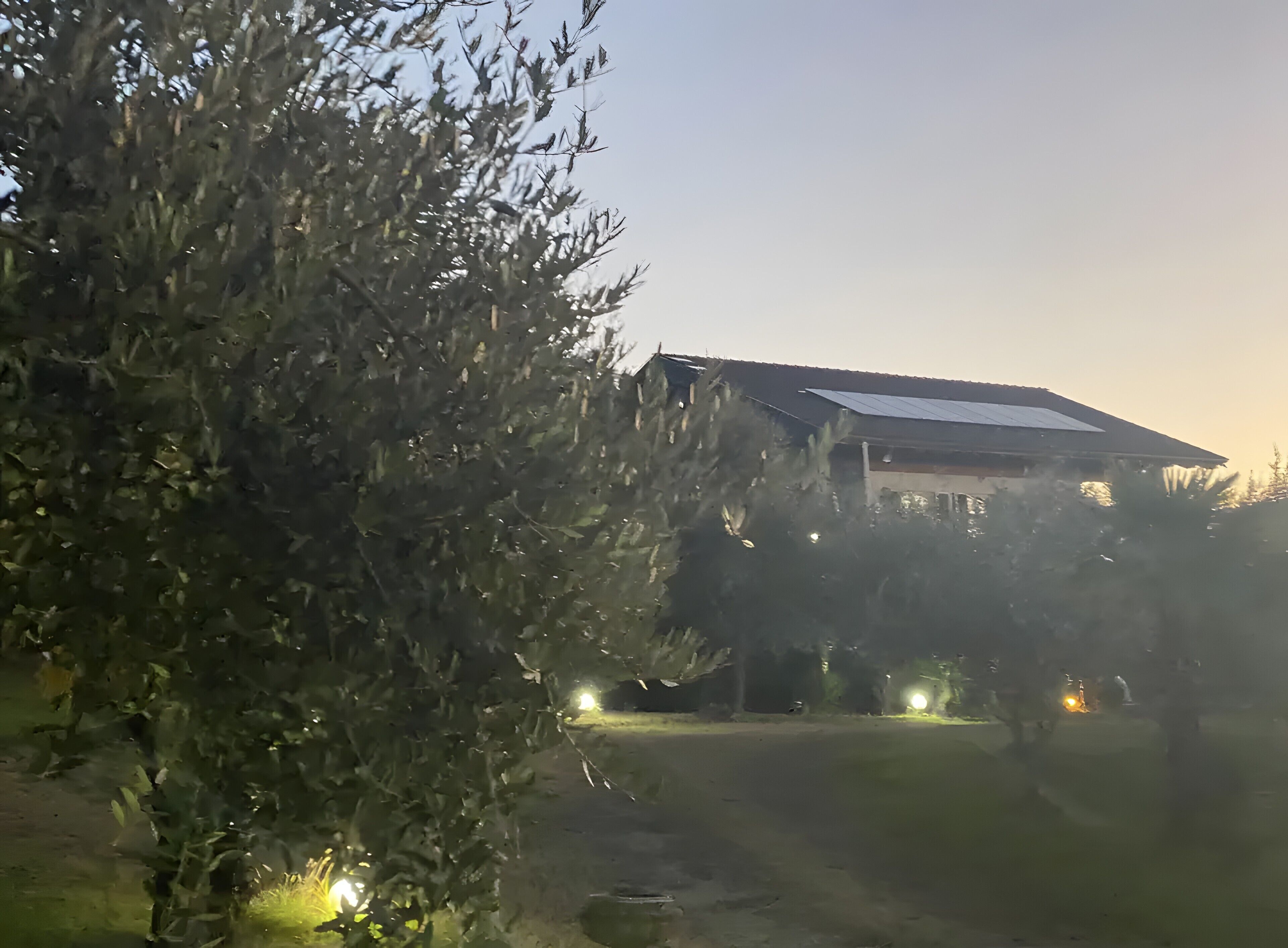 Un edificio con tetto spiovente, circondato da alberi e un prato.