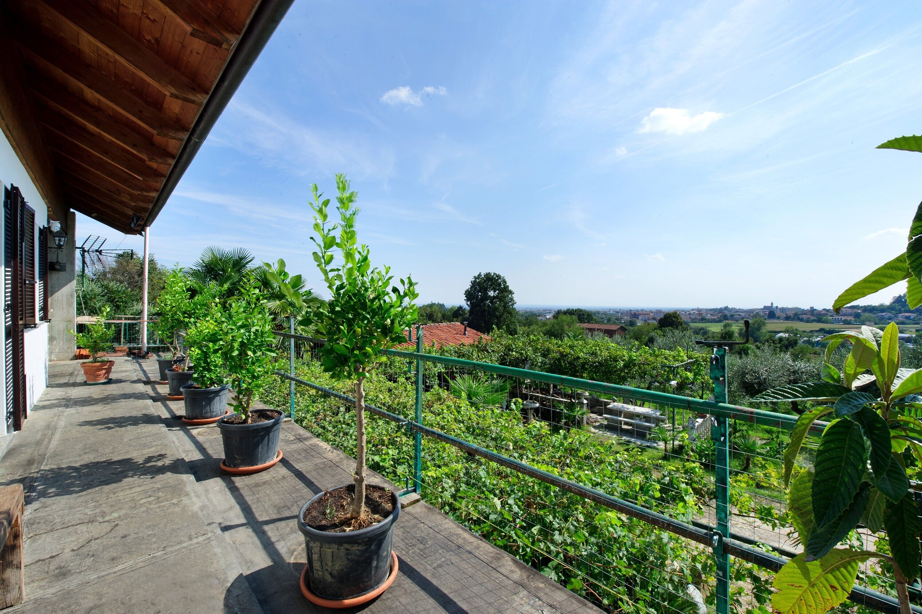 A balcony with potted plants, a green metal railing, and a view of a garden and distant buildings.