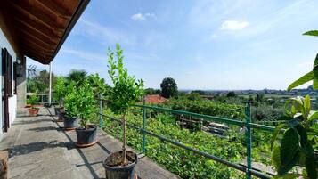A balcony with potted plants, a green metal railing, and a view of a garden and distant buildings.