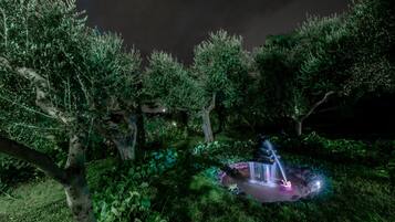 Un jardin nocturne agrémenté d’un élément aquatique, entouré d’arbres et illuminé par un éclairage d’ambiance.