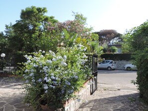 Jardines del alojamiento