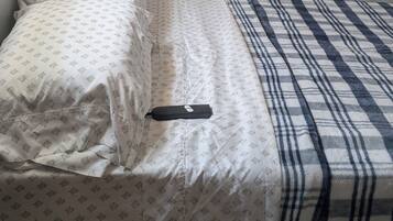 1 Schlafzimmer, Bügeleisen/Bügelbrett, WLAN, Bettwäsche