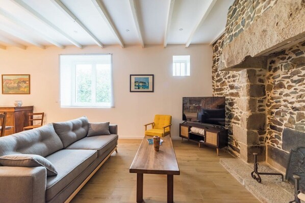 TV, fireplace, books