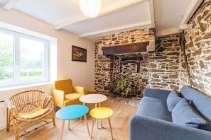 TV, fireplace, books