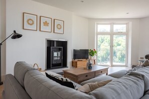 Télévision, cheminée