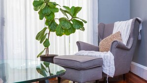 A room with a glass table, a grey armchair, a large potted plant, and a window with sheer curtains.