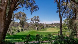 Un parcours de golf avec des allées bien définies, entouré d’arbres et de verdure.