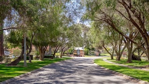 A tree-lined street leading to a building with a sign. - A2 - Spacious Apartment w/ Wi-Fi + Kitchenette (Connolly)