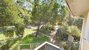 A garden with a variety of trees and plants, a stone pathway, and a wooden fence.